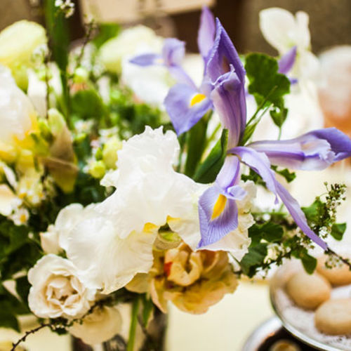 24th Annual Iris Awards Online Edition Bard Graduate Center