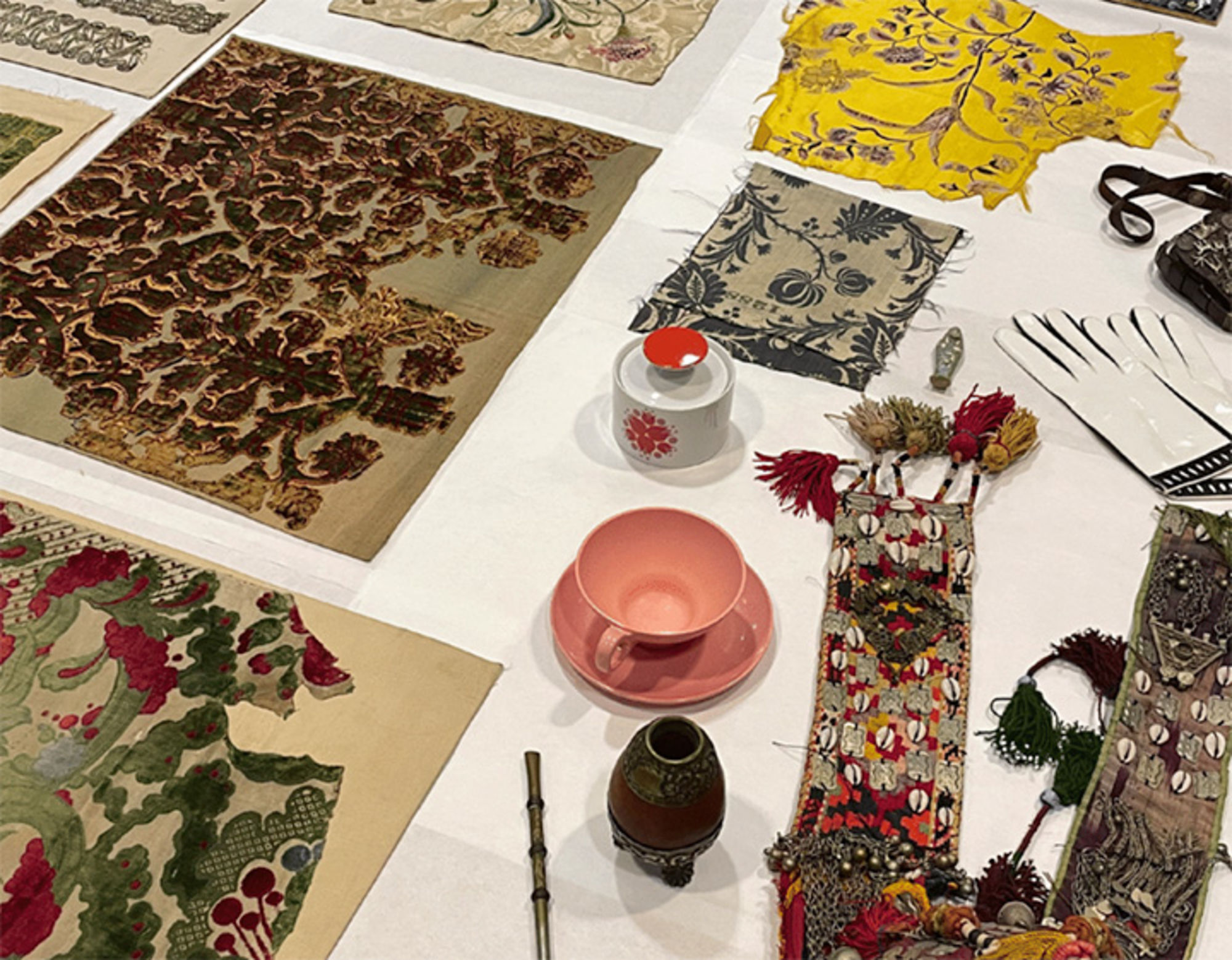 BGC’s Growing Study Collection Enhances Object-Based Learning - Bard ...